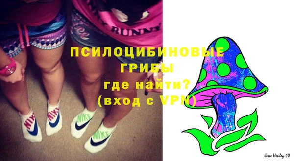 первитин Алексеевка