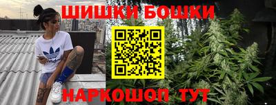 индика Волжский