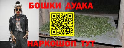 индика Волжский