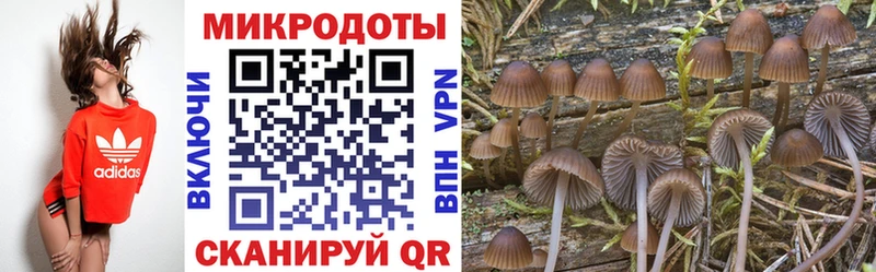 Псилоцибиновые грибы прущие грибы  Ижевск 